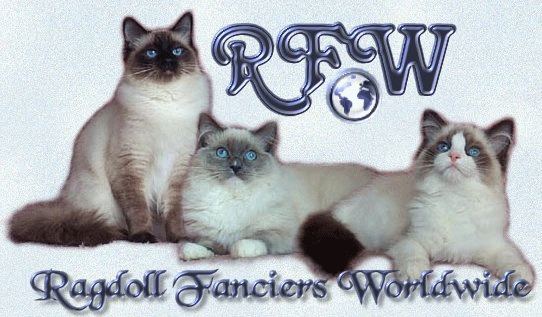 Ragdoll Cat Breeders. Looking for a Ragdoll Kitten?